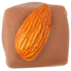 L'écuyer