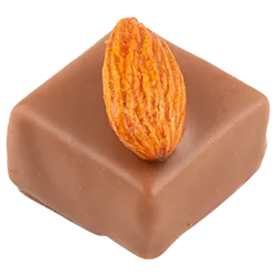 L'écuyer