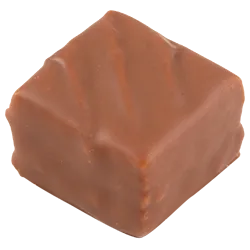 La brocéliande