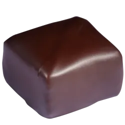 Le ténébreux