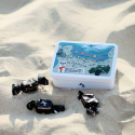 Coffret Plage du Débarquement bouchées noisettes