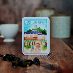 COFFRET ROCHE GUYON