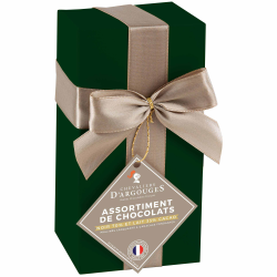 BALLOTIN CADEAU VERT  ASSORTIMENT CHOCOLAT