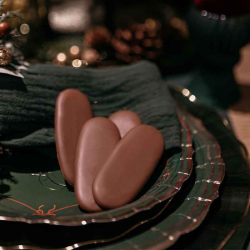 LANGUE DE CHAT LAIT/CARAMEL