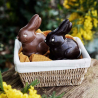 LE LAPIN NOIR BIO