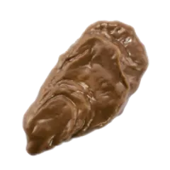 Huitre praliné