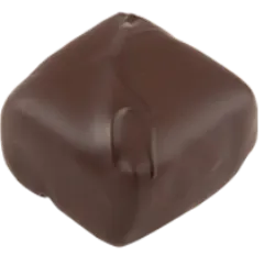 Le ténébreux