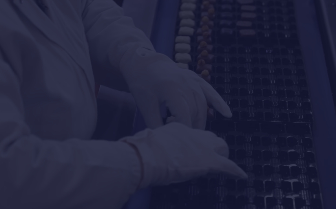 Le conditionnement — Des chocolats