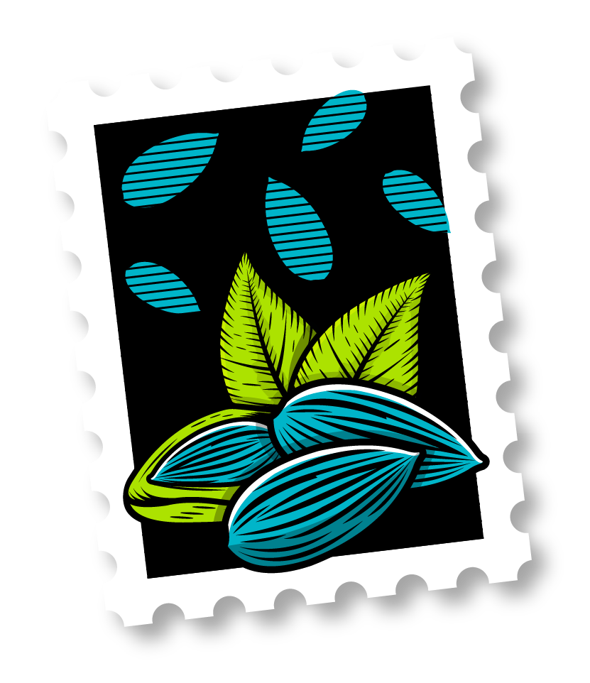 Timbre Amandes