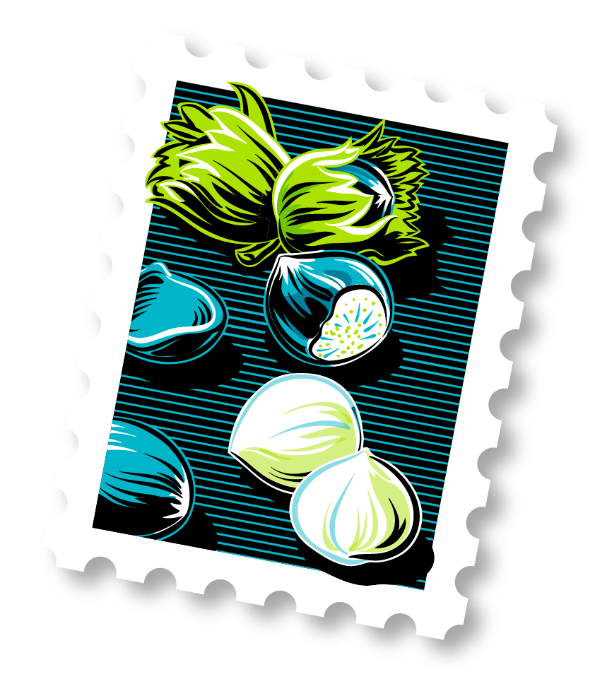 Timbre Noisettes